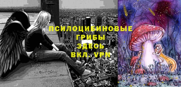 ешки Алексин